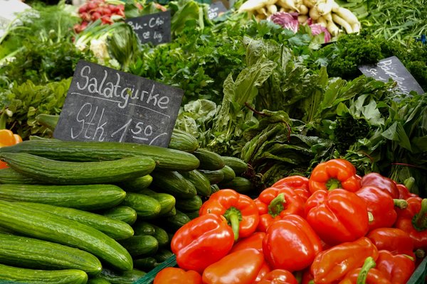 Choosing a Durable Cheese Grater: Your Guide to Rust-Free Options!